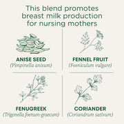 Traditional Medicinals Mothers Milk To Support Healthy Lactation in Breastfeeding Mothers 16 Pick 28g