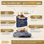 Totaria NMNH Alternative Supplement w/Niacinamide (Vitamin B3), Quercetin, Trans-Resveratrol, Support NAD+, Skin Cell Health, Anti-Aging & Energy, 120 Caps