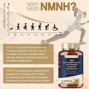 Totaria NMNH Alternative Supplement w/Niacinamide (Vitamin B3), Quercetin, Trans-Resveratrol, Support NAD+, Skin Cell Health, Anti-Aging & Energy, 120 Caps