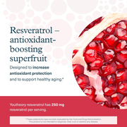 Youtheory Resveratrol with Acerola, 290 Count (1 Bottle)